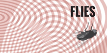 Flies cover image